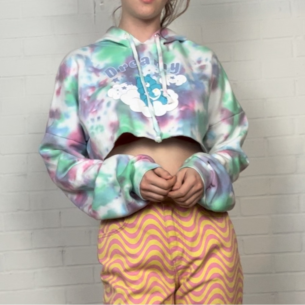 NWT Dolls Kill X Care Bears Collab Cropped Hoodie - Picture 1 of 8